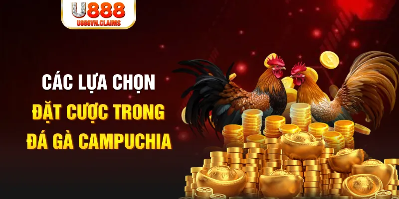 bay789 SW Xổ Số