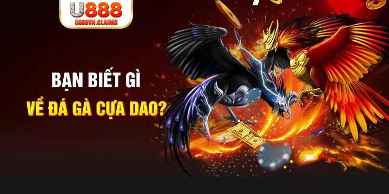 bay789 xổ số kiến thiết