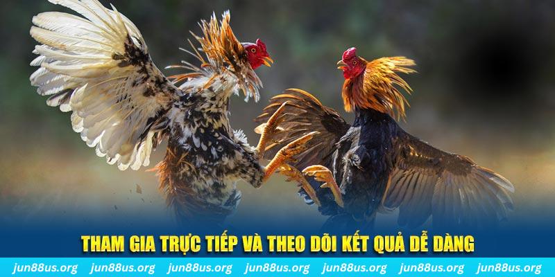bay789 đá gà trực tiếp bình luận viên