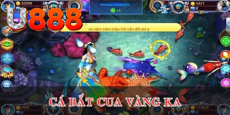 bay789 đăng nhập phỏm uy tín