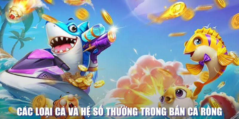 bay789 loi game dot kich ket noi may chu that bai