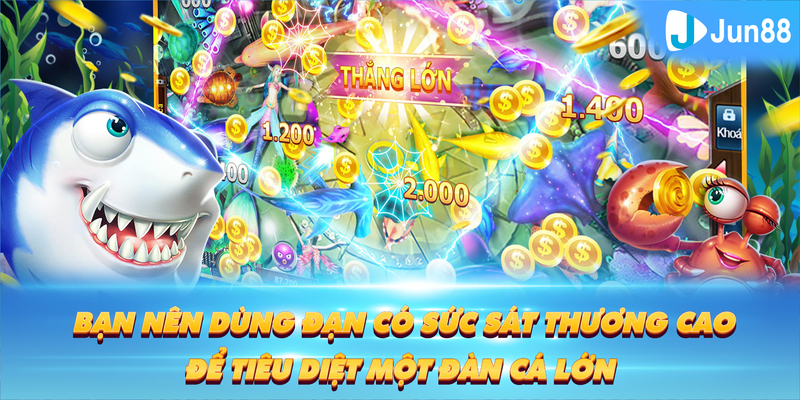 bay789 Tung Đồng Xu