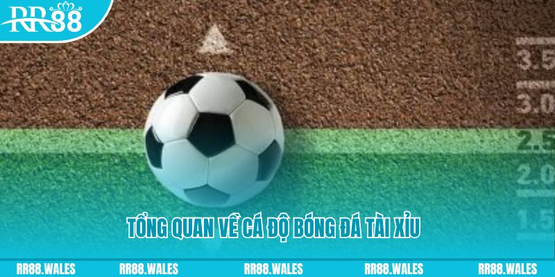 bay789 đăng nhập lô đề online