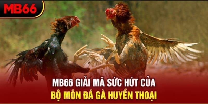 bay789 Phi Đội Ưu Tú