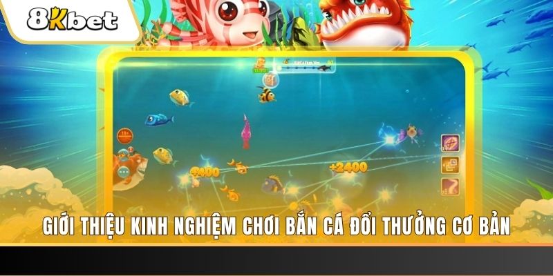 bay789 xổ số miền bắc thứ năm hàng tuần