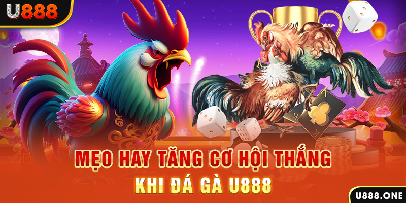 bay789 trực tiếp gà chọi c1