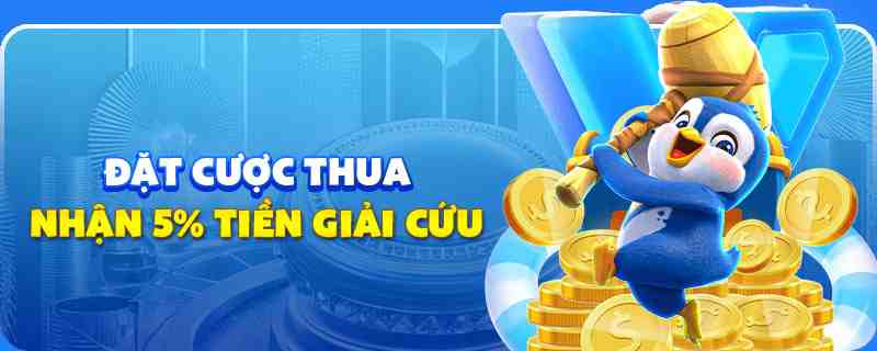 bay789 gà chọi cu cần