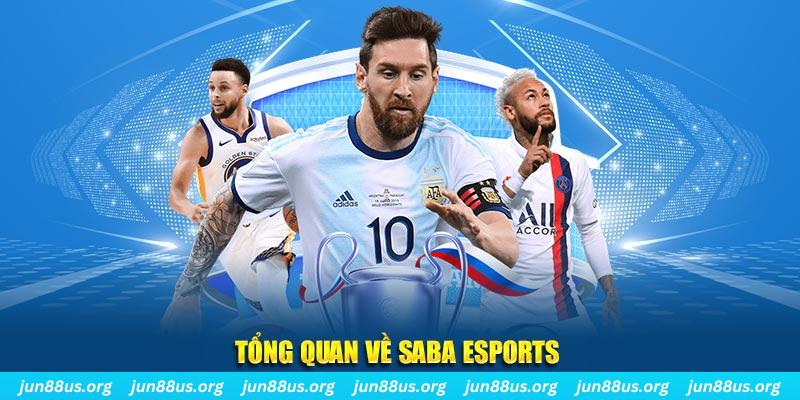 bay789 gà chọi c1 tv trực tiếp hôm nay